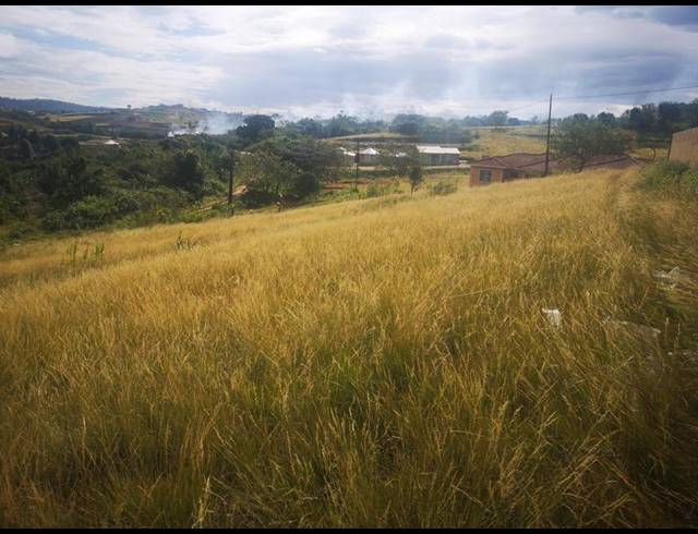 LAND FOR SALE IN ADAMS RURAL